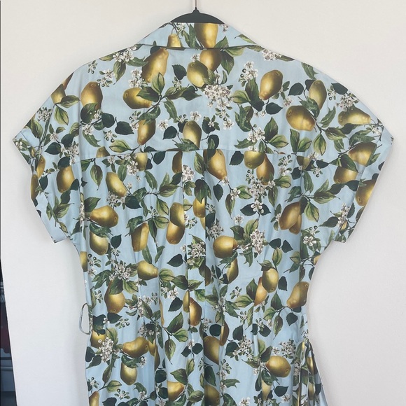 Zara Fruit Print midi Dress with Belt - Picture 7 of 7